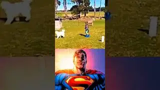 #starman #starmanmeme #shorts #trending