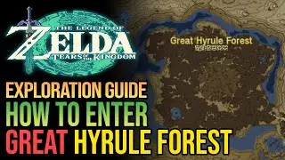 How to Get to Great Hyrule Forest Zelda Tears of The Kingdom