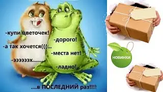 Жизнь цветочниц нелегка -жаба душит хомяка. А он сопротивляется... и-и-и новые цветочки прибавляются