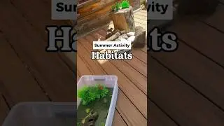 How To Set Up Habitat Sensory Bins 🌿 60 Days of Summer - Day 36 