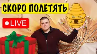 Бджільництво 🐝 Гроші на вітер ? ✅ Розіграш,  Ентеронормін  🐝