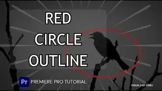 Red Circle Outline Highlight in Premiere Pro | Video Editing for Beginners