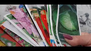 Купила семена на 2021 год!