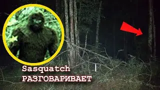 СТРАШНЫЙ СНЕЖНЫЙ ЧЕЛОВЕК СНЯТЫЙ НА КАМЕРУ, ГОЛОСА ЛЕСНЫХ СУЩЕСТВ