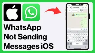 iPhone: How to Fix WhatsApp Messages Not Sending Problem | WhatsApp Not Sending Messages iPhone