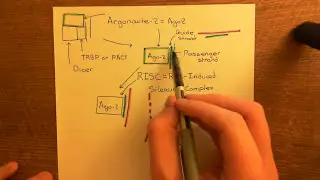 Short hairpin RNA (ShRNA) Part 4