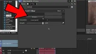Filtro LUT en Sony Vegas Pro 15