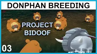 Breeding a Lead Donphan - Project Bidoof Part 3 - Pokemon Breeding Guide