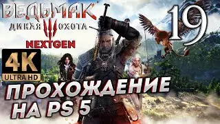 Обновленный Ведьмак 3: Дикая Охота на PS5 в 4К # 19 ✦СТРИМ ПРОХОЖДЕНИЕ✦