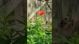 09.07.2024. «Я кого-то была молодая...» Подосиновский район, Кировская область