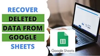 How to Recover Deleted Data From Google Sheets?