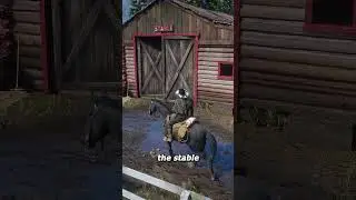 Rescue horses in Red Dead Redemption 2 🐎