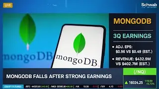 MongoDB (MDB) Stock Falls Despite Strong Earnings