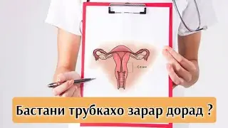 Бастани трубкахо (найчахо). Фоида ва зарари он. Кушода мешавад ё не?