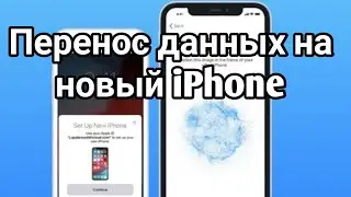 ПОЛНЫЙ ПЕРЕНОС ИНФОРМАЦИИ С IPHONE НА IPHONE? Как перенести данные с айфона на айфон