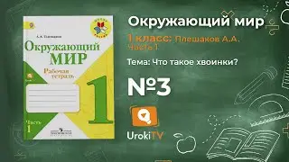 Задание 3 Что такое хвоинки? - Окружающий мир 1 класс (Плешаков А.А.) 1 часть