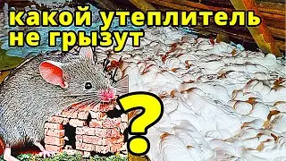 Какой утеплитель не грызут мыши ?