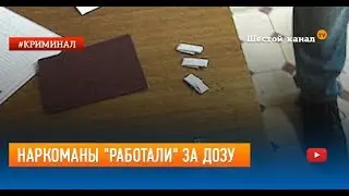 Наркоманы работали за дозу