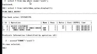 SQL: FBI(Functional Based Indexes)