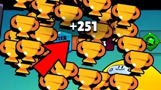 +251 Trophies🏆