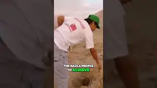 The Enigmatic Nazca Lines: Mysterious Artistry or Divine Significance?