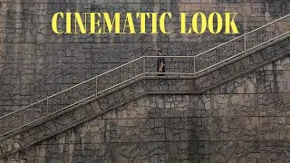 How To Get A Cinematic Look With ANY Video