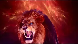 The King Of The Jungle: Unveiling the Lion's Majesty 🦁 #wildlife #nature #animals