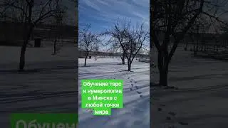 таро и нумерология