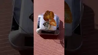 Кулон из янтаря и бронзы#amber #творчество #jewellery #diy #украшения #handmade #кулон