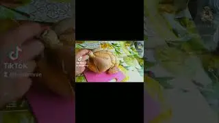 копчення птиці