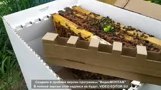 УлейКу 10 лет! У8К - самый большой и надёжный пакет для перевозки семей пчёл