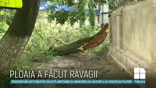 Imagini de GROAZĂ în Capitală. Furtuna a doborât copaci, iar circulația pe străzi a fost blocată