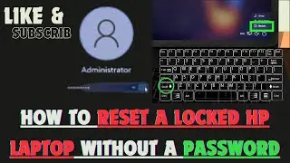 How to reset a locked HP laptop without a password