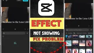 Fix Capcut No Internet Connection PROBLEM Now