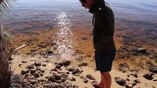 Looking for Megalodon Teeth in Florida || Goat Island Adventure Pt. 1