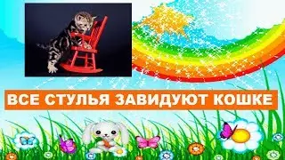 Смешная песенка для детей - Все стулья завидуют кошке