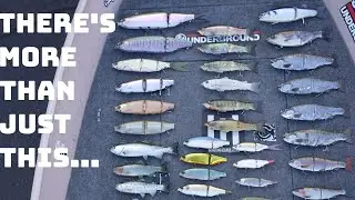 My Swimbait Collection Is Insane! ( I Might Have A Problem...)