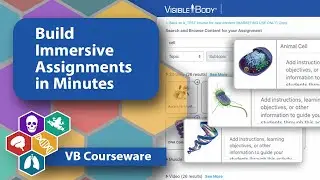 Build Immersive Assignments in Minutes with Courseware 5 0