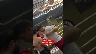 Головкин - Садриддин Ахмедов. Тренировка #головкин #бокс #ggg