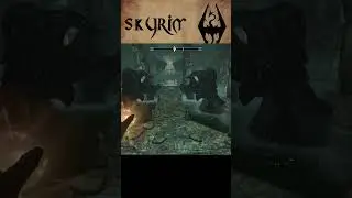 #Skyrim Yeah, No! That's Fine! Perfectly Normal! #gaming #skyrimroleplay #funny  #skyrimmemes