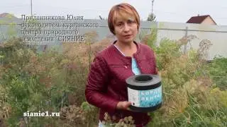 Бордюрная лента на садовом участке