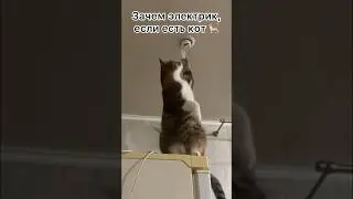 Зачем электрик, если есть кот 🐈 