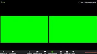 Видеозвонок в Zoom ФУТАЖ GREEN SCREEN