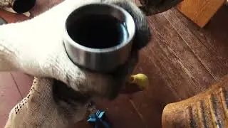 Новодельные гайки глушителя ИЖ