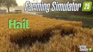 Fs 25 Will Have Hail Too?? Crop Destruction 😬 Farming Simulator 25 New Gameplay