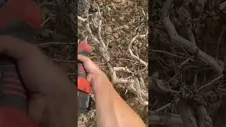 Lithium Battery Garden Scissors Tool Cutting Dead Branches Easily !