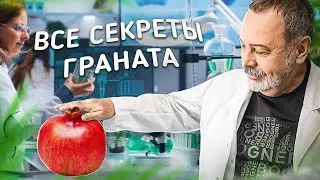 ВСЕ СЕКРЕТЫ ГРАНАТА Железо в гранате, польза граната, как употреблять, Гранат в онкологии