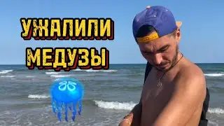 ШОК! МЕНЯ УЖАЛИЛИ МЕДУЗЫ ВО ВЬЕТНАМЕ 🇻🇳 ТРУПЫ НА ПЛЯЖАХ 😱 #news