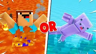 Minecraft Would You Rather
