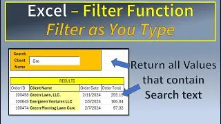 Excel Filter Function  - Filter as You Type